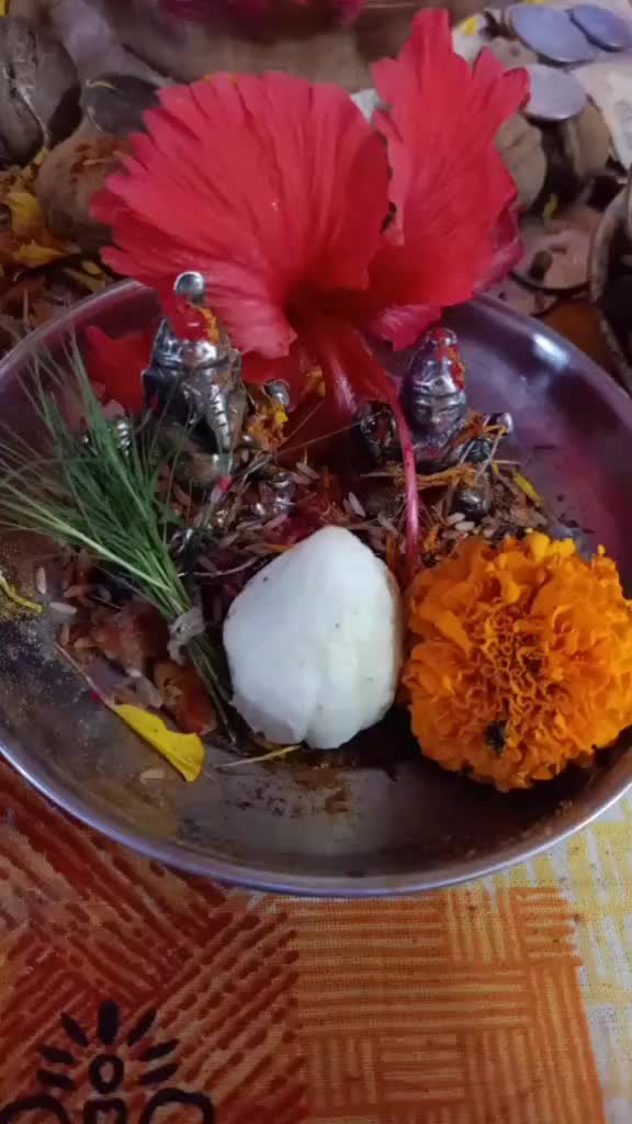 @गणेश रविंद्र वेमुल