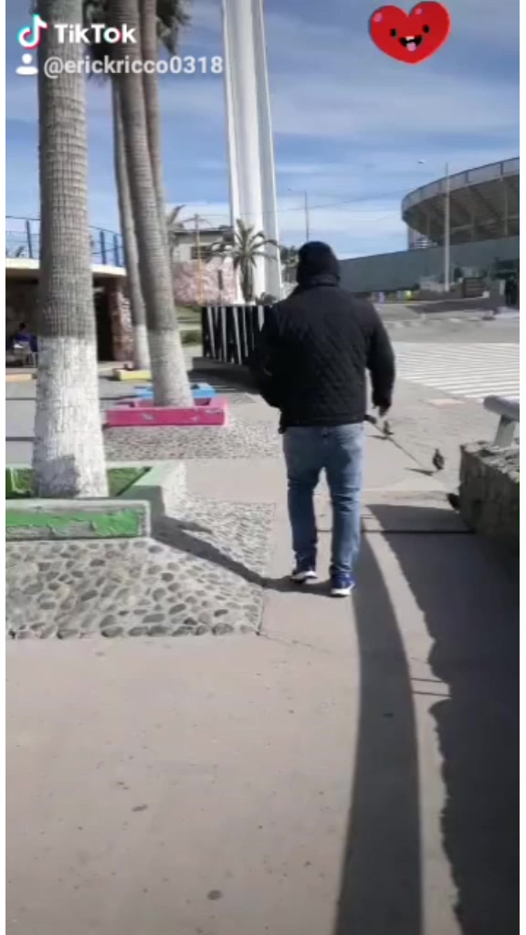 @ErickRicco🇵🇪🇺🇸👑