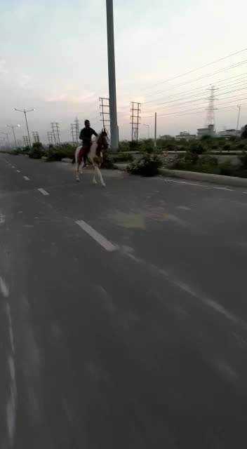 @Ch Rahul Kasana