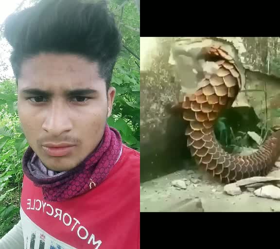 @😎👑Yogesh Kuber👑😎