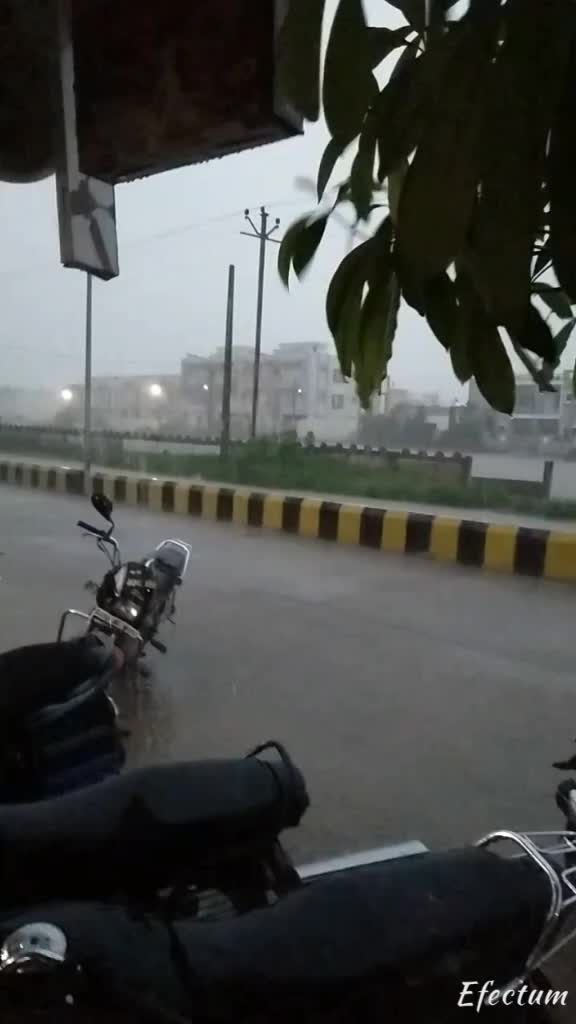 @Khushal_Chitara_31