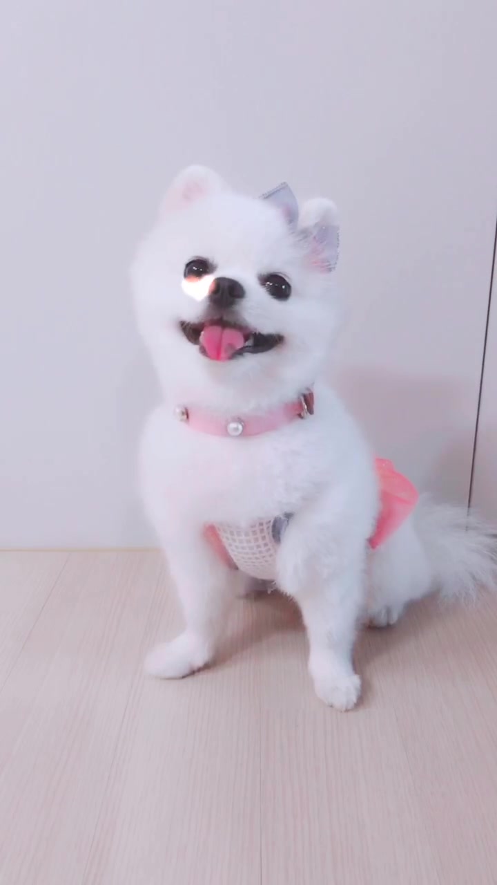 @권하리