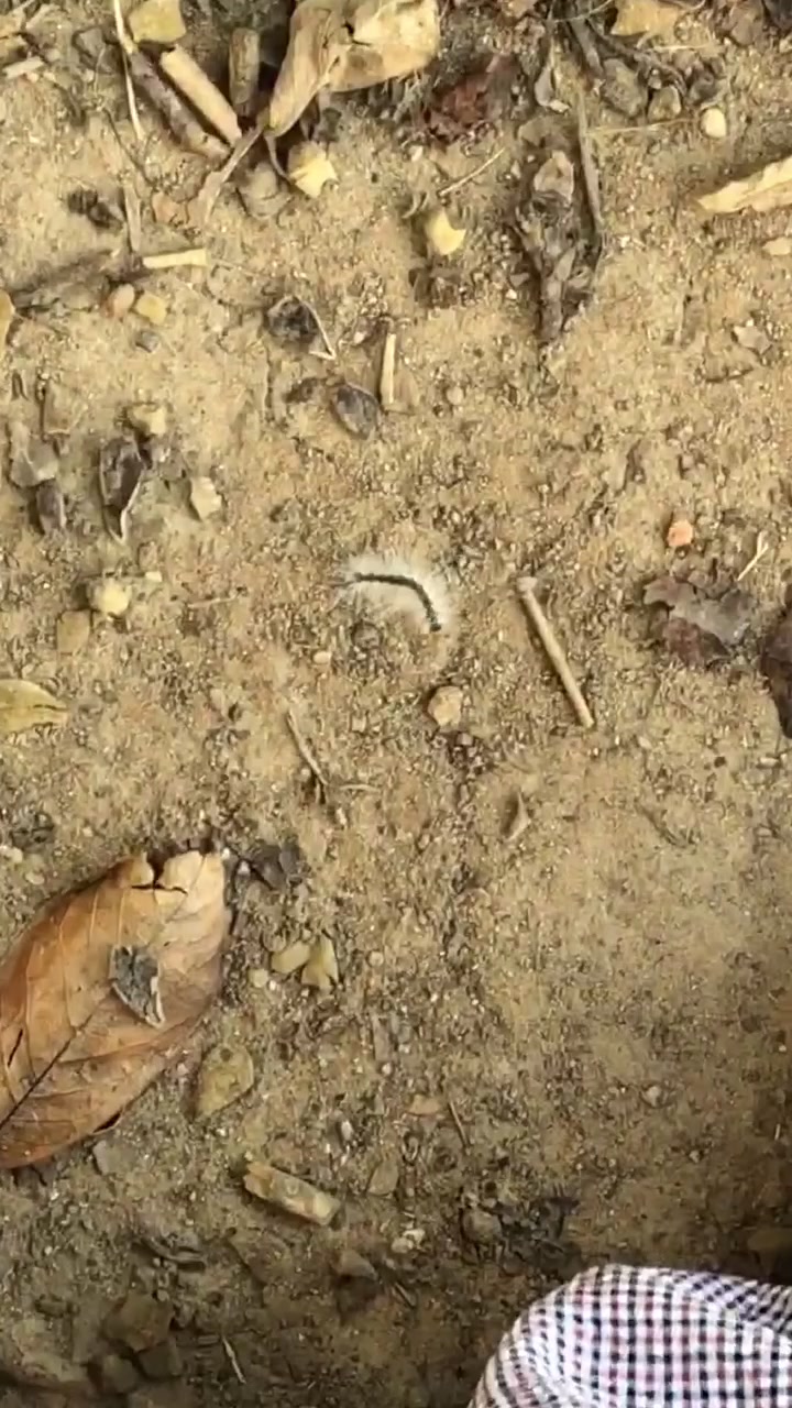 @👇🤠👇