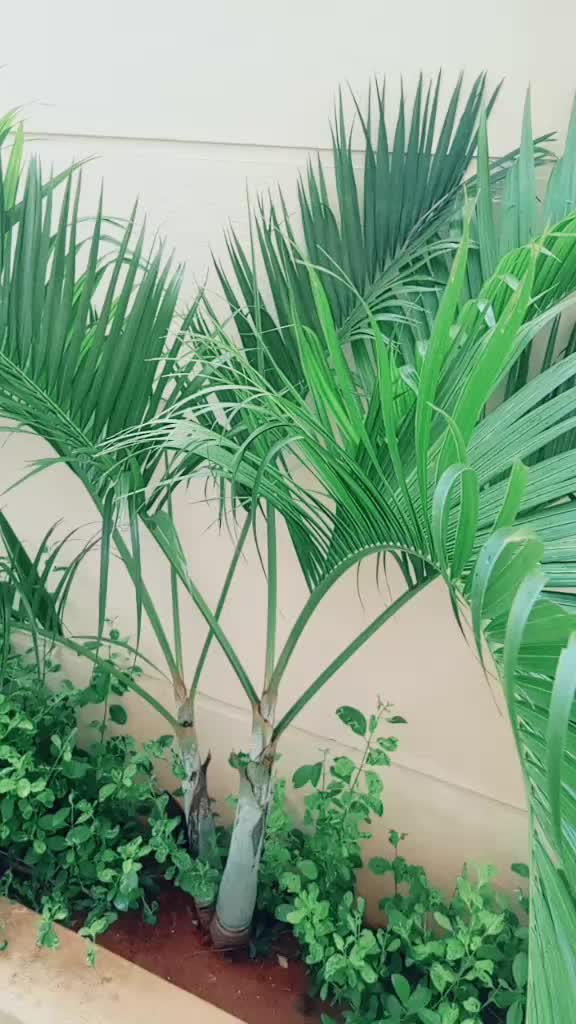 @user069613