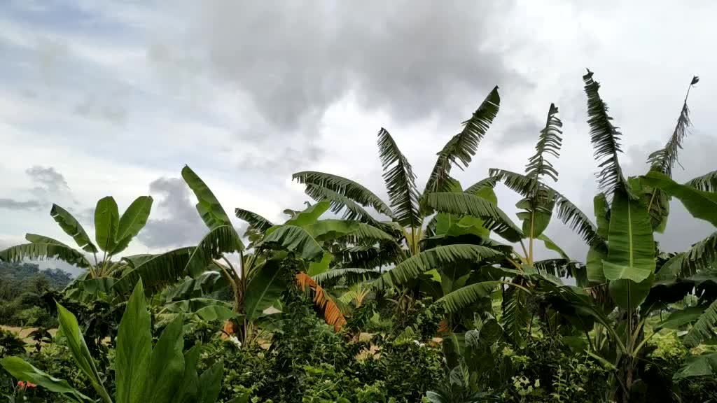 @Paramesh NP