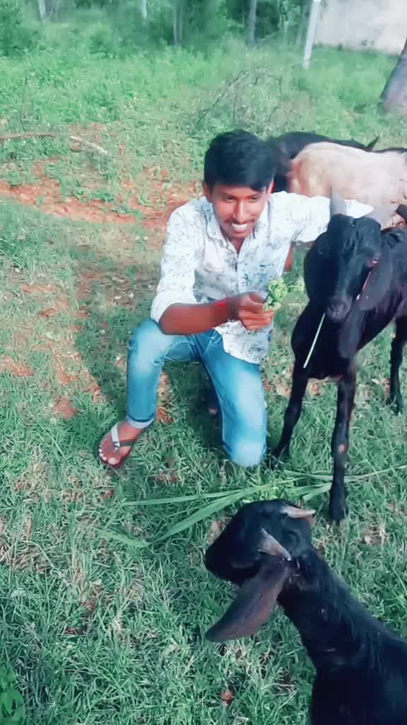 @kumar prince