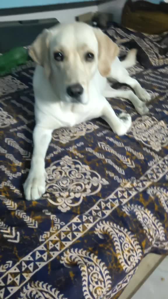@Pranav Kumar