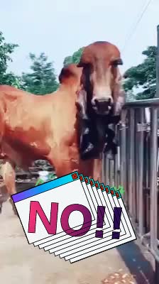 @vijaybheabharvad