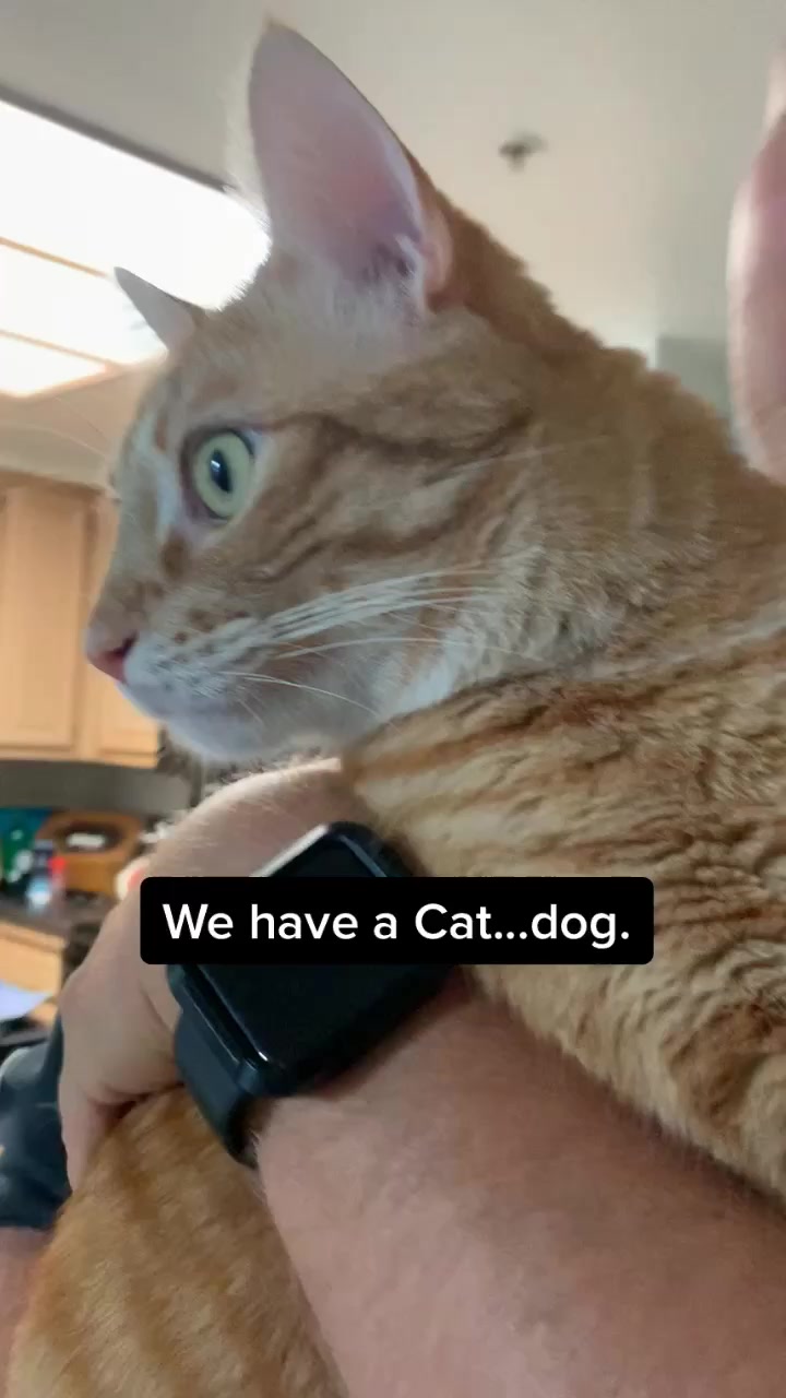 @Raja and Floof