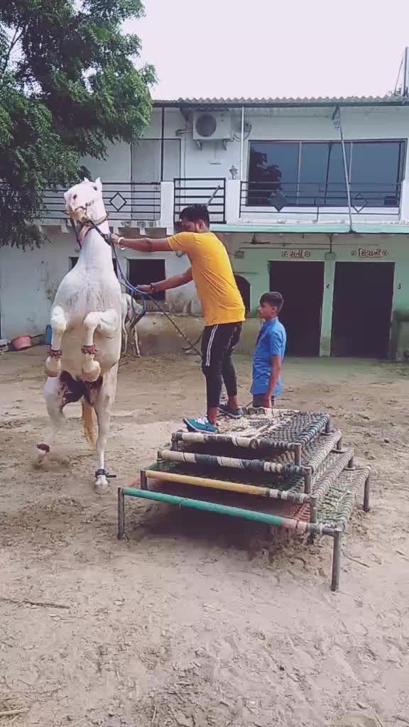@Kishu Banna