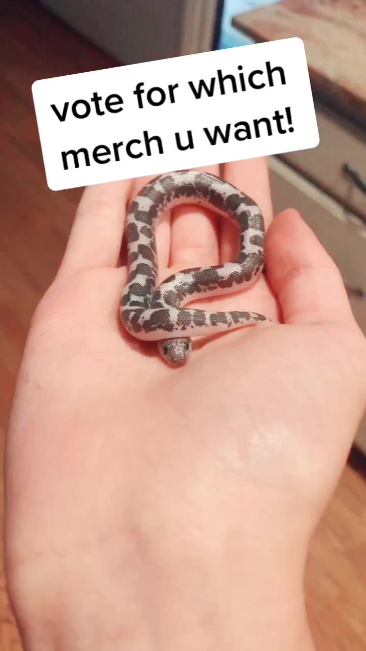 @Tortellini