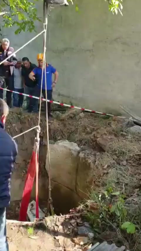 @Erdoğan Alerik 