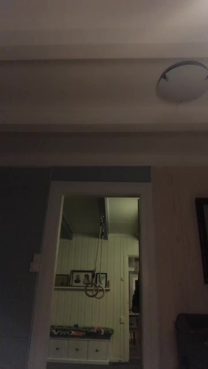 @queenofdisaster304