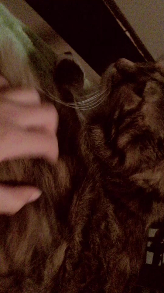 @💕S&agrave;ilor~G&agrave;mer💕