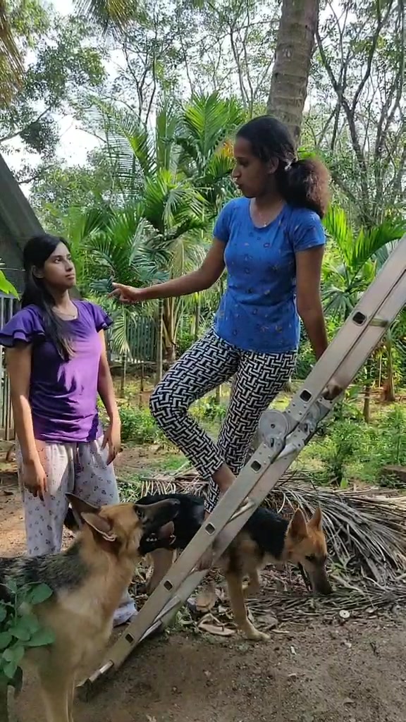@Archana Raj