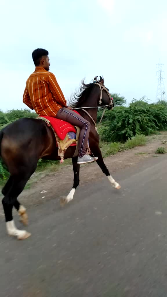 @vishvajit_sinh_9