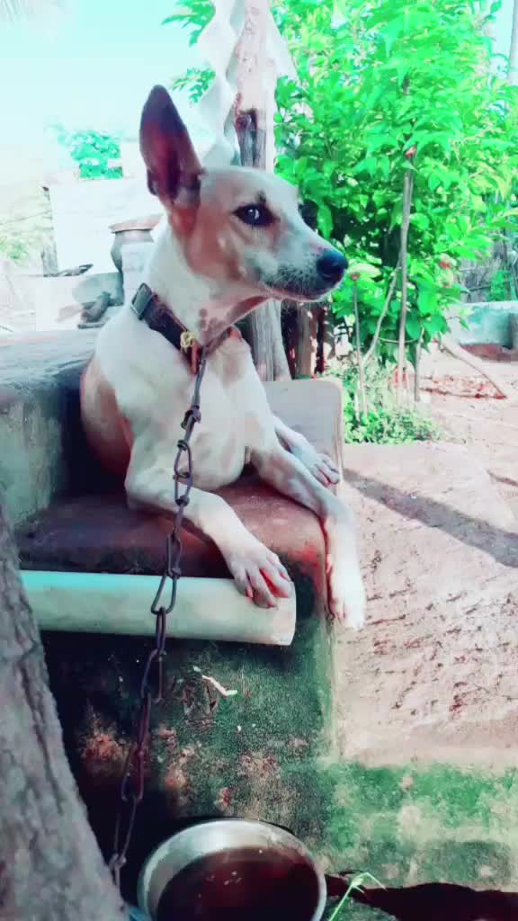 @hariharan68764586285