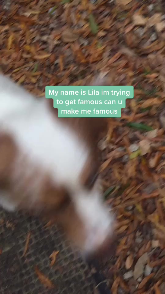@VIzy