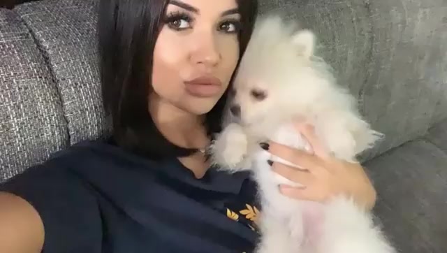 @andravolosoff