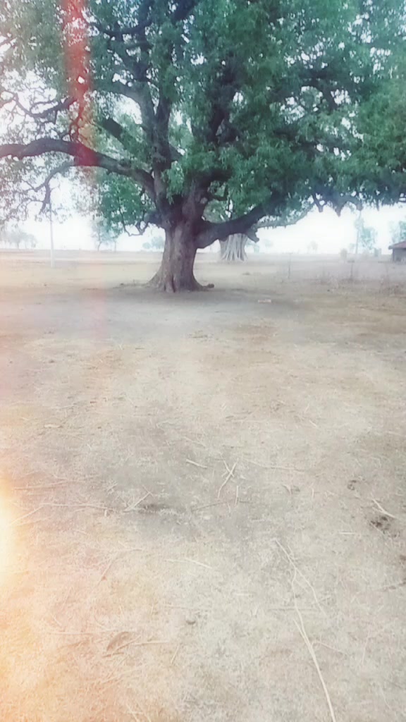 @Ankit Mishra Rewa
