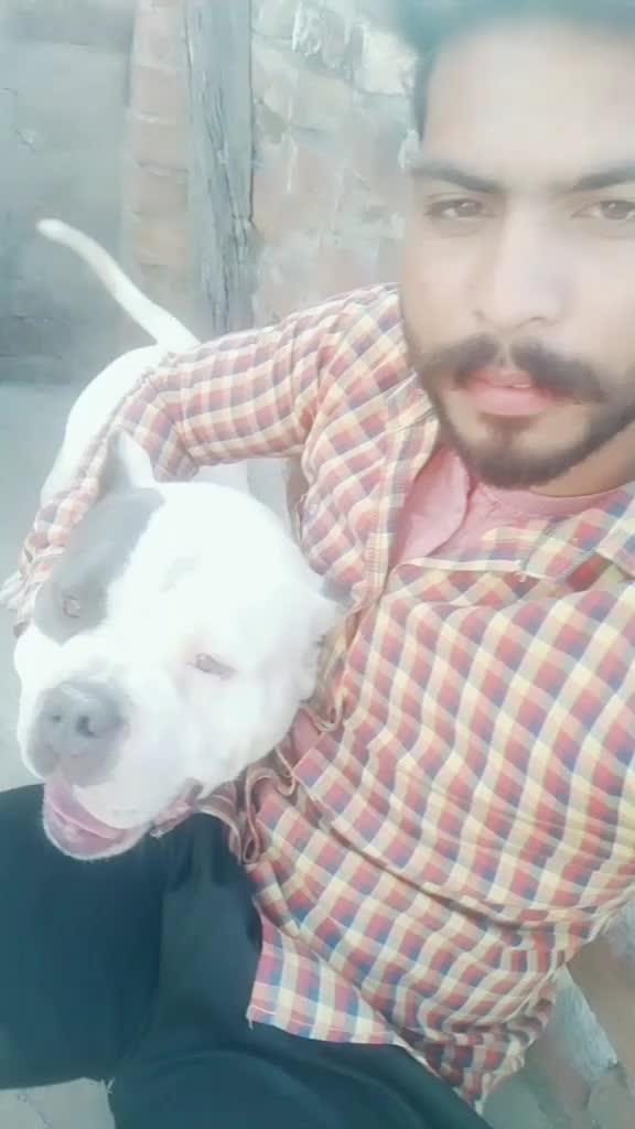 @taransidhu922