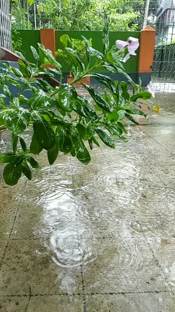 @Bhimi Kanjilal