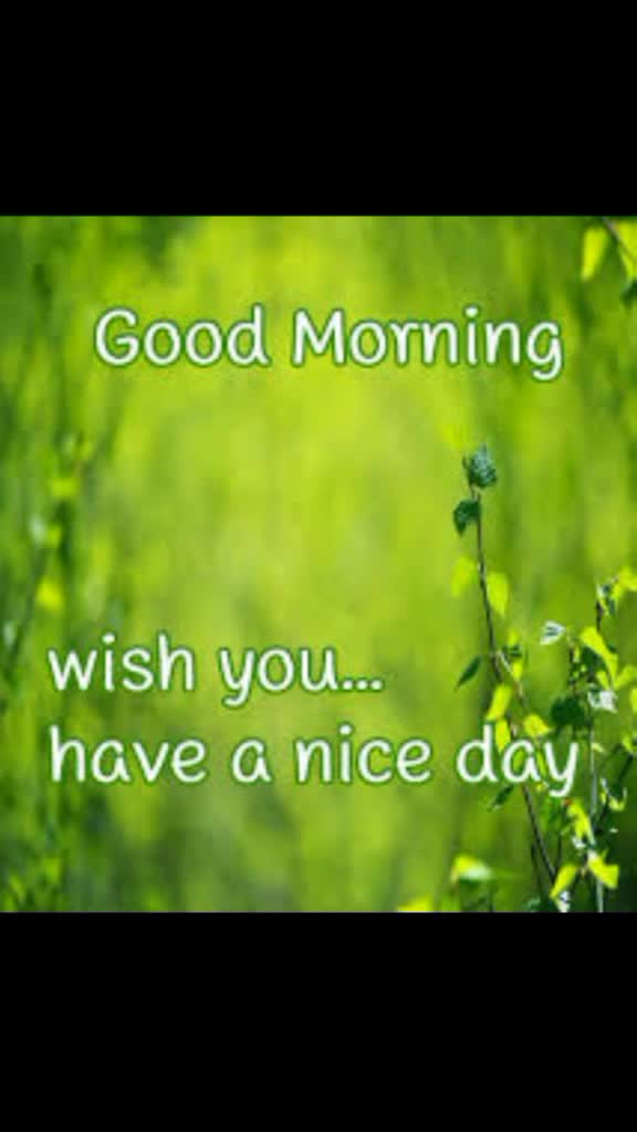 @Chinna