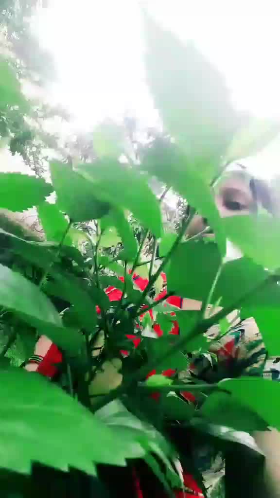 @tapaswini pattanaik