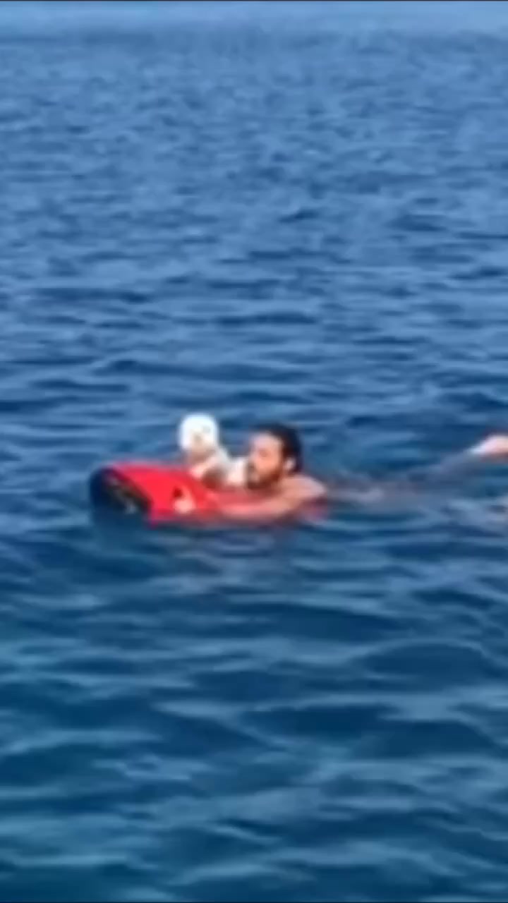 @DEMET &Ouml;ZDEMİR