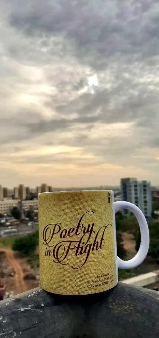 @Nidhee_Sh