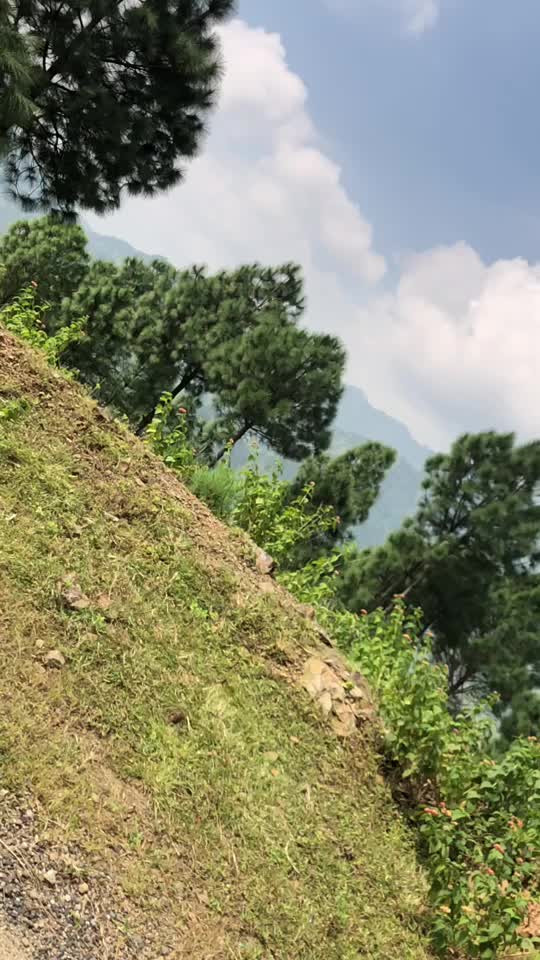 @Ankit Negi
