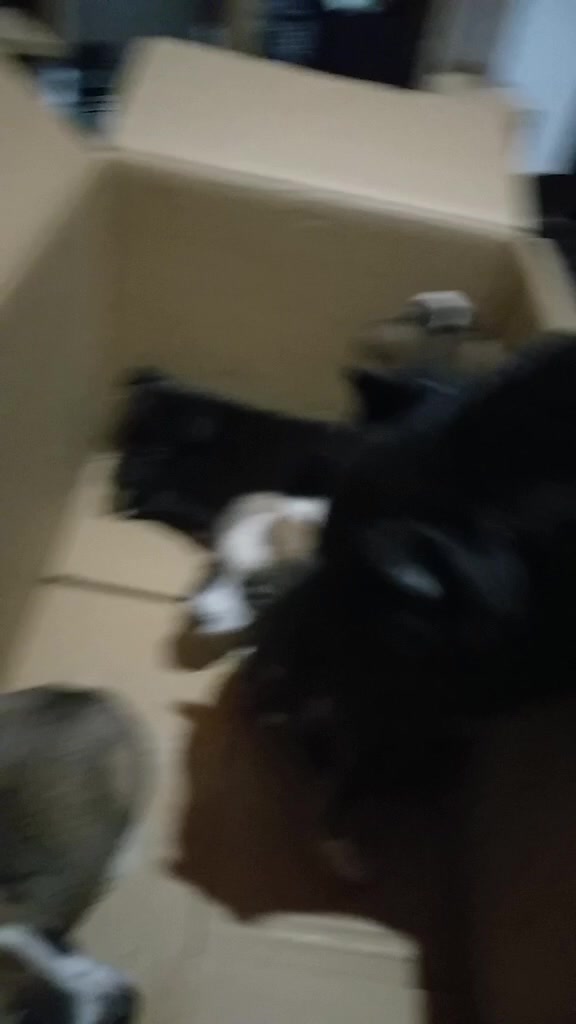 @Ayudanos a Ayudar