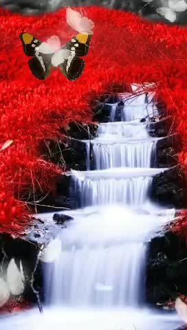 @user90102941300