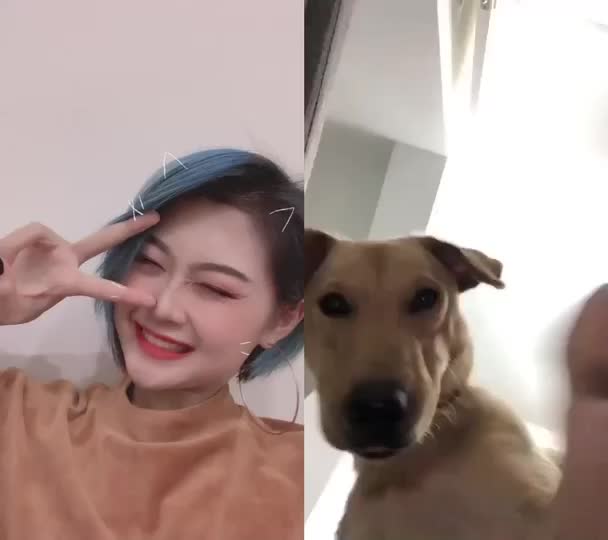 @Hảo Thỏ 🐰