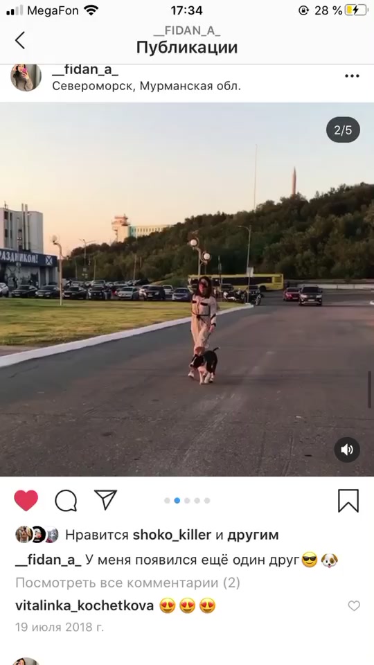 @amstaff_iar