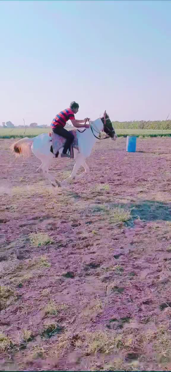 @rajpalsinh_jadeja