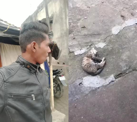 @maheshsonkar 353
