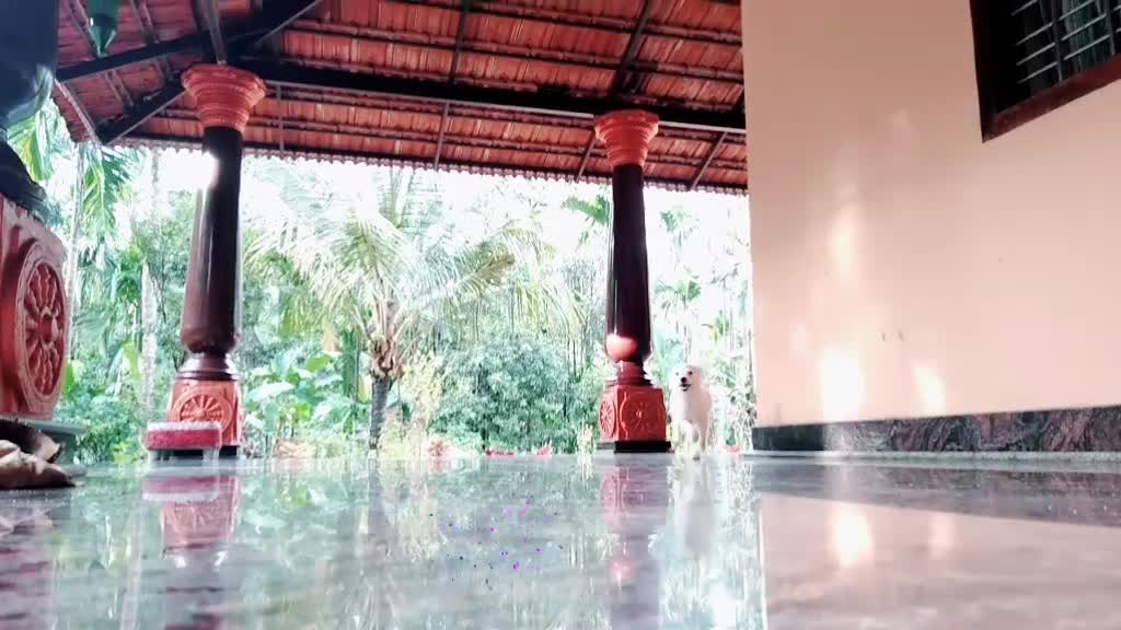 @vaibhav__kajegadde