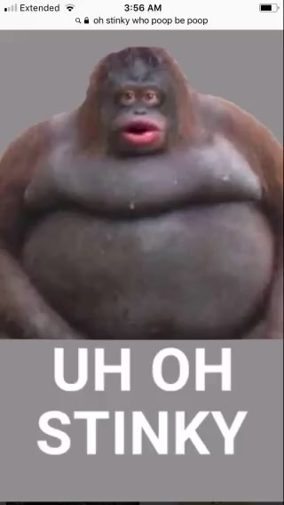 @Larry D. gremlin