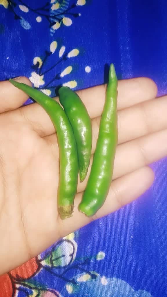 @sahilkhan245