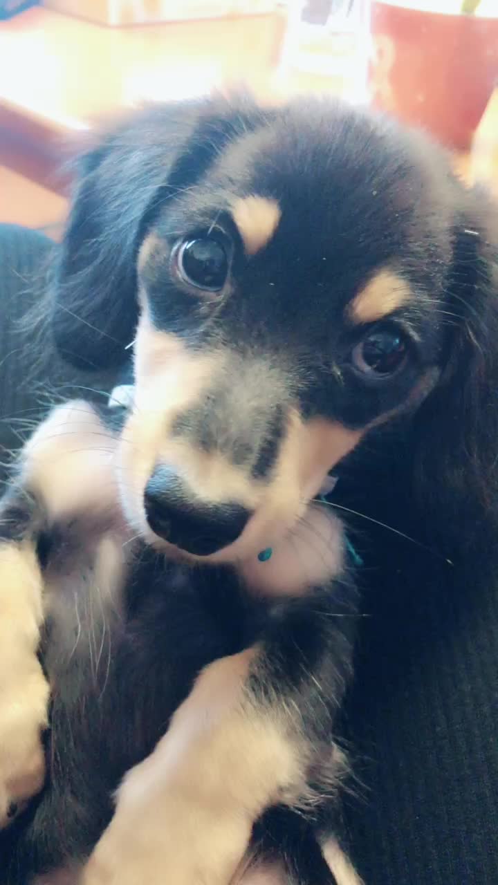 @conaaan