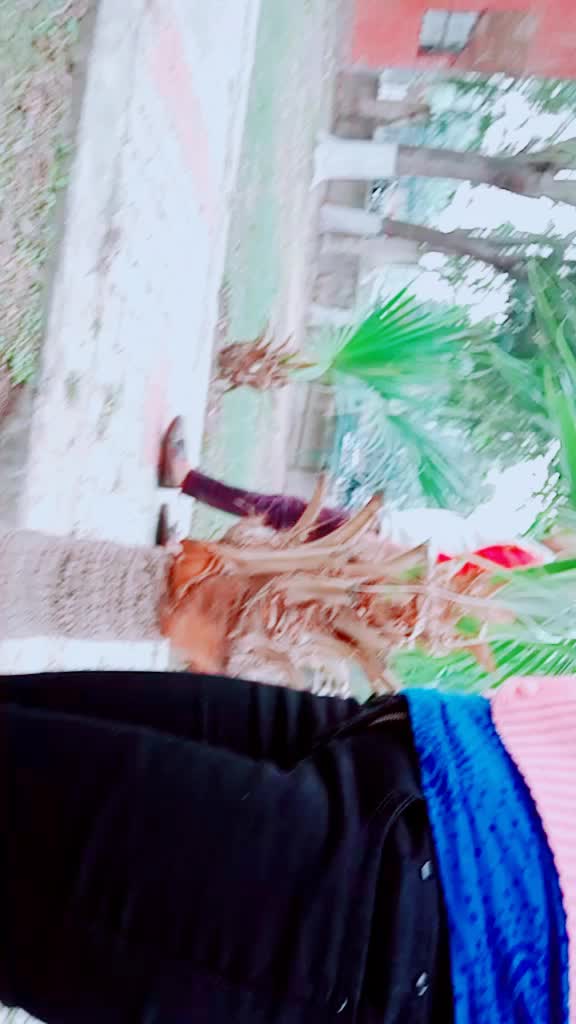 @😉Ma Teri Shizuka😘?