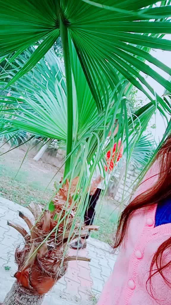 @😉Ma Teri Shizuka😘?