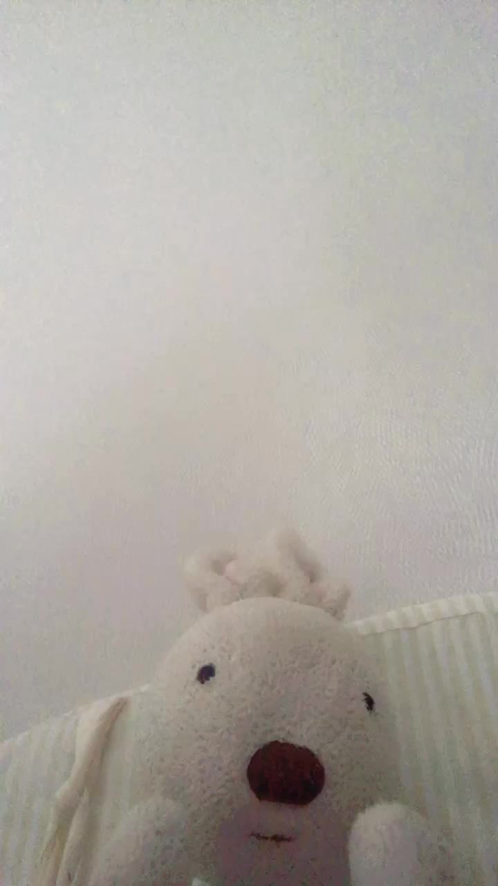 @쭈꾸씌🙃
