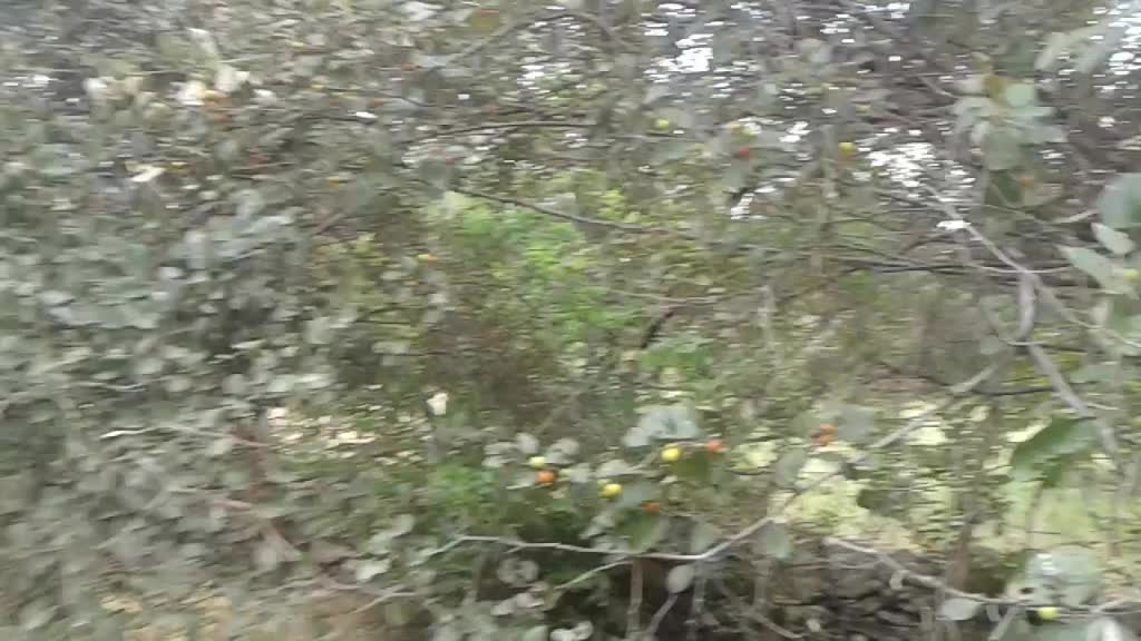 @Mr bharat modi