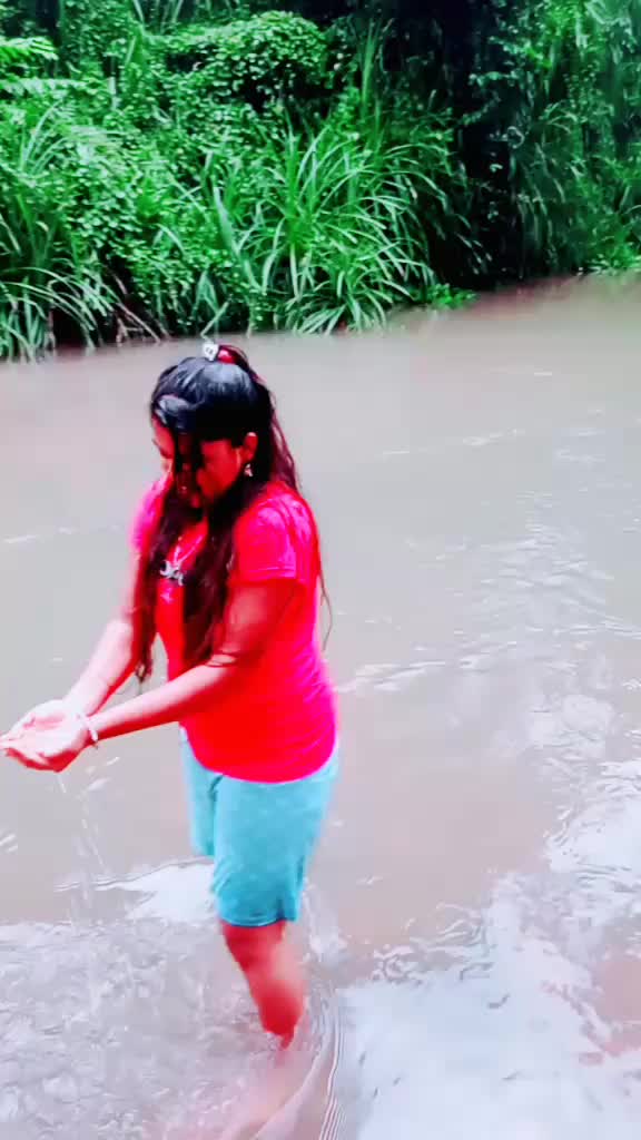 @vidya v
