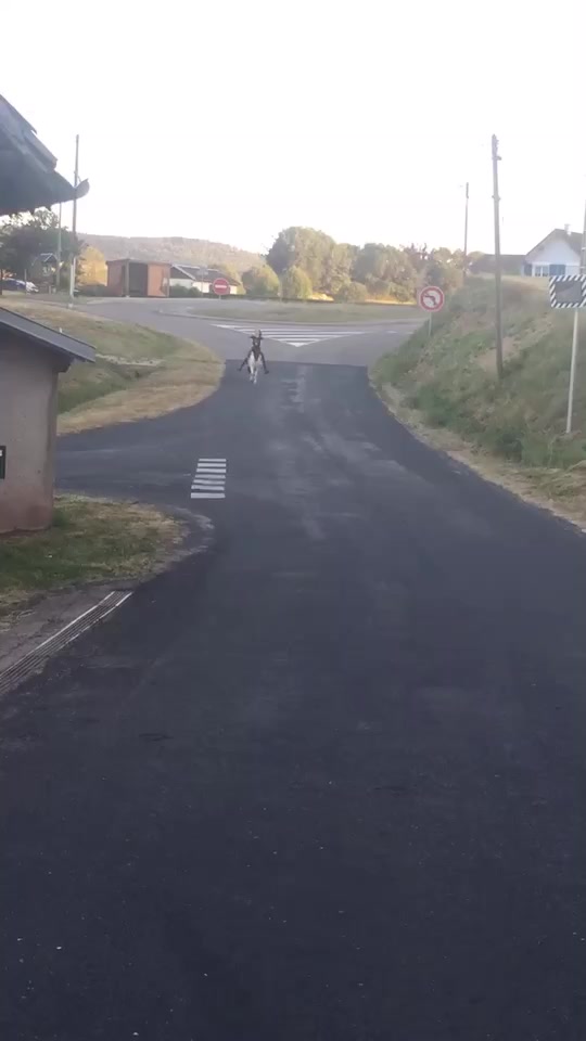 @Oceane naveau