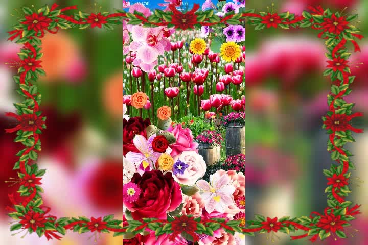 @shaurya dubey