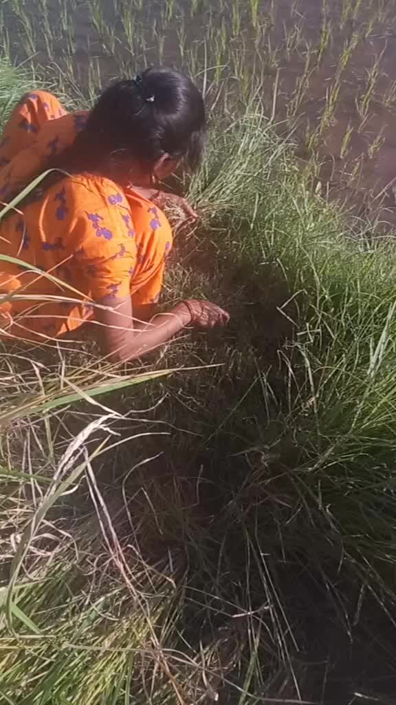 @பூபதிவிவசாயி D.EEE