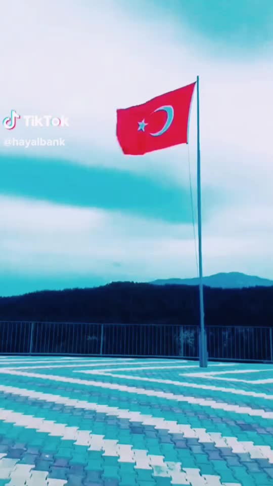 @mustafaatalay48